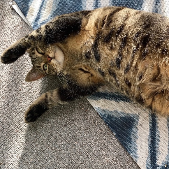 Meet your Posher, June - Picture 1 of 1